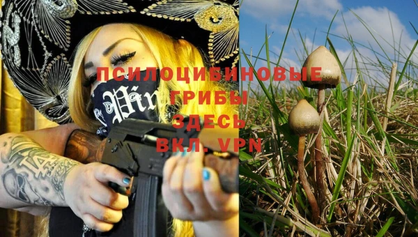 винт Козловка
