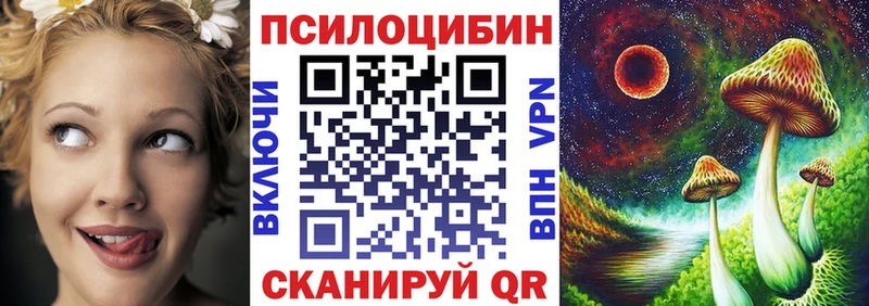 Галлюциногенные грибы мицелий  Купить где  Сольвычегодск 